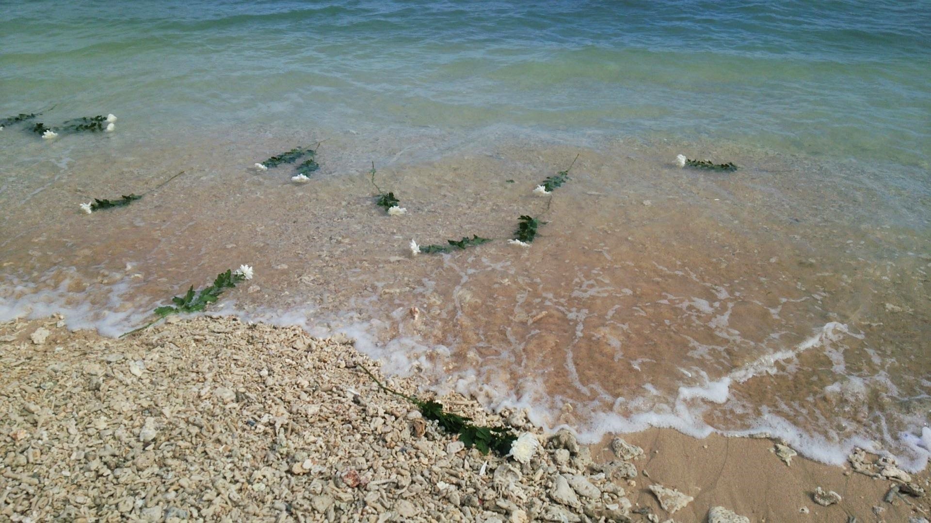 海洋散骨後のイメージ