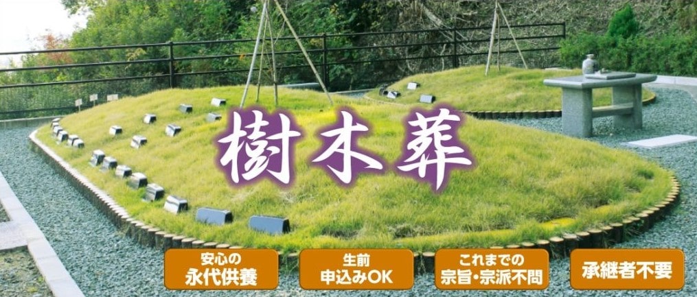 ドリーマーTOP-min