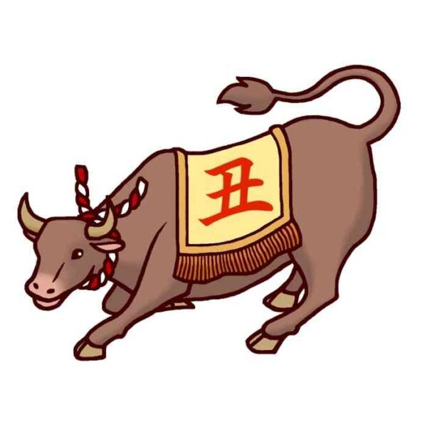 丑