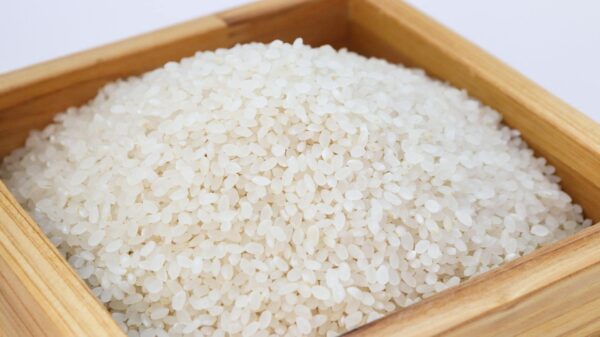 生米