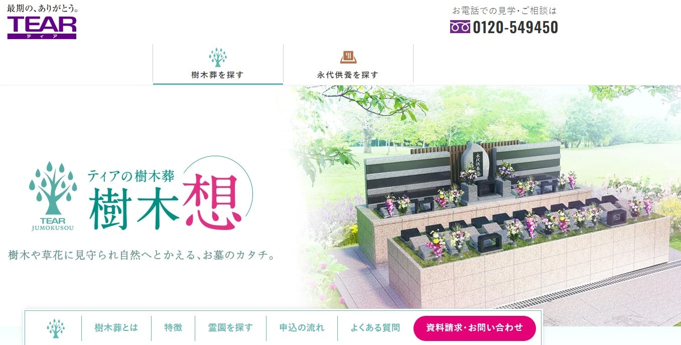 ティアTOP-min