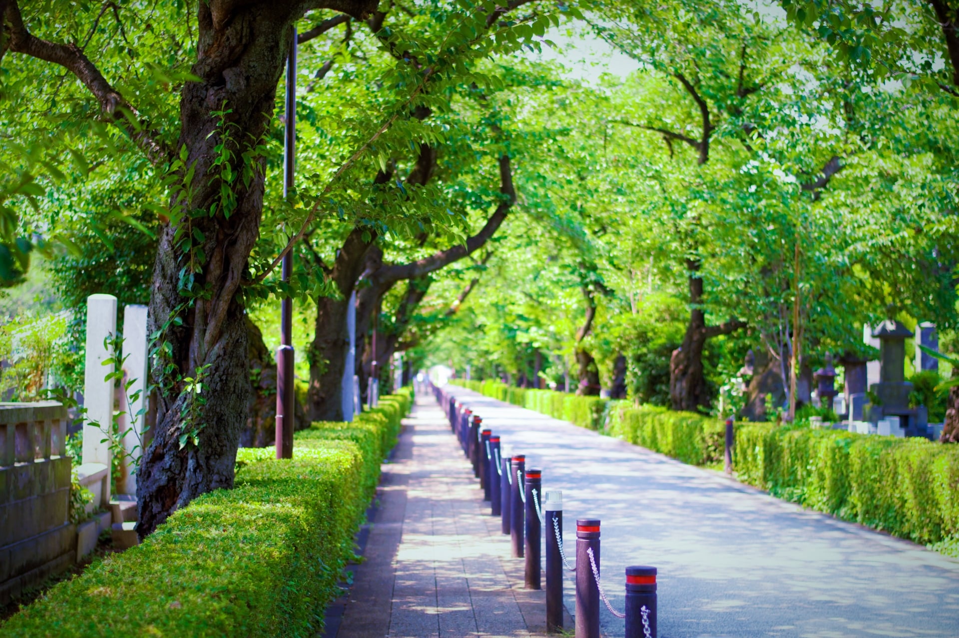 公園型