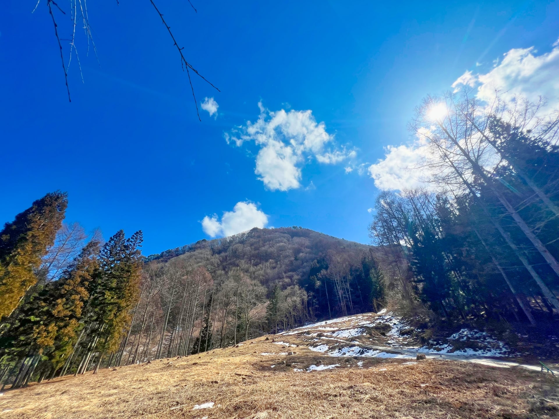 里山型