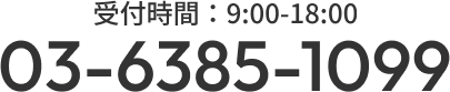 03-6385-1099