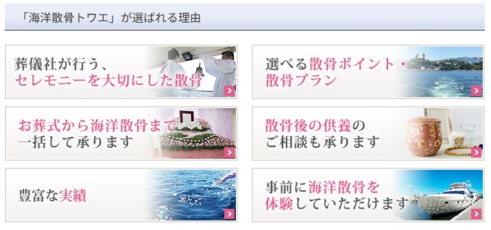 TOWAE選ばれる理由