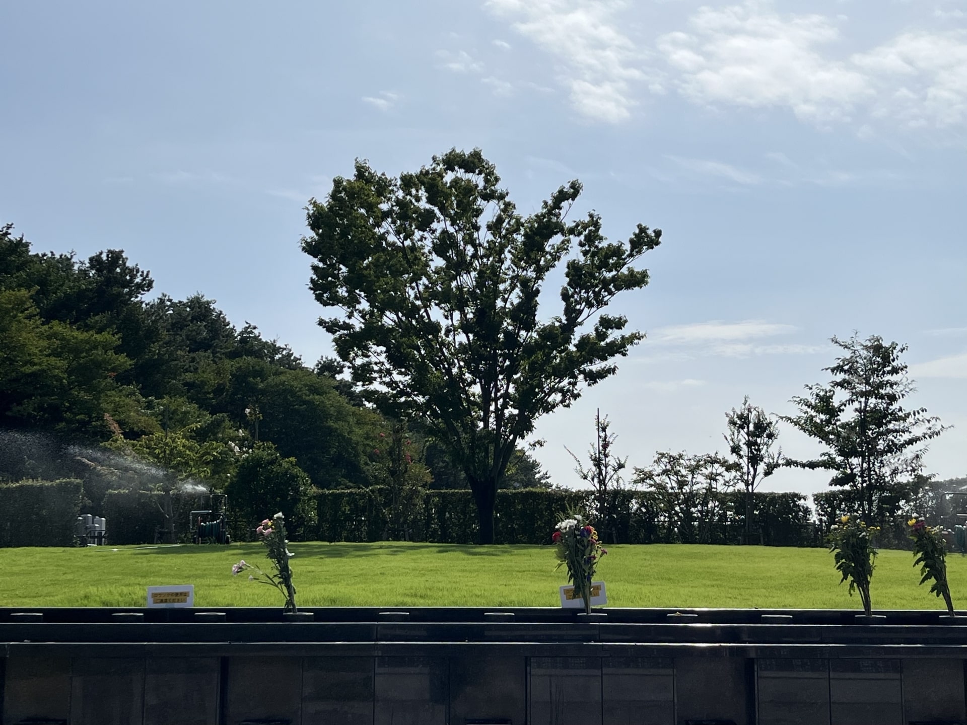 樹木葬 (1)